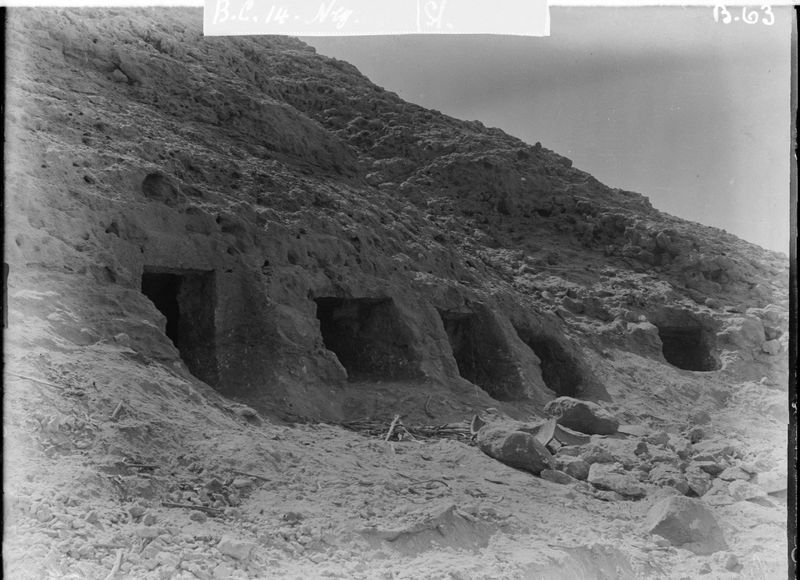 Ancient Egyptian man's genome reveals his society's cross-cultural ties
