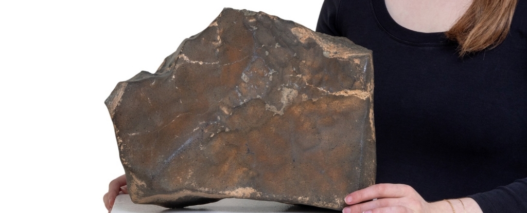 Largest Mars Rock on Earth Could Sell For US$4 Million