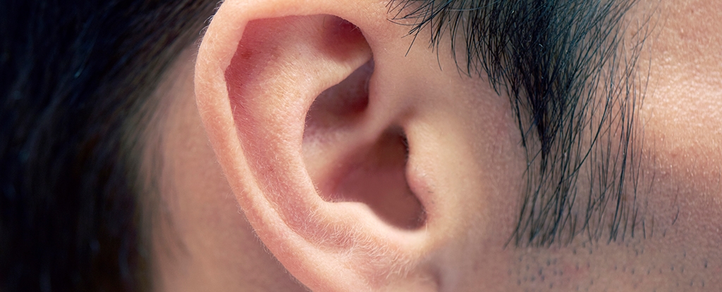 Your Ear Wax Might Hold Clues to Early Parkinson's, Study Finds