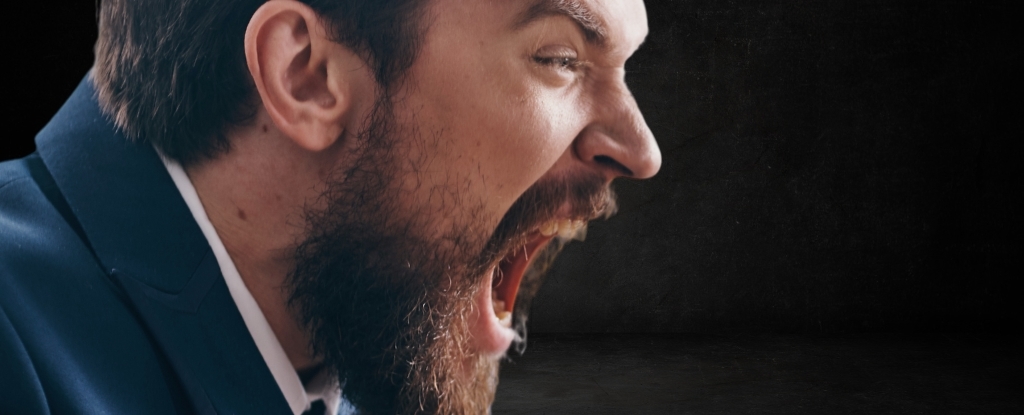 One Dietary Supplement Shown to Reduce Aggression by Up to 28%
