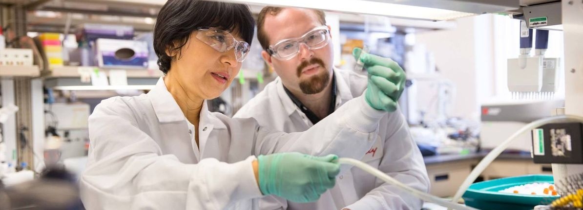 Eli Lilly (NYSE:LLY) Advances Orforglipron GLP-1 Therapy To Phase 3 With Positive Results