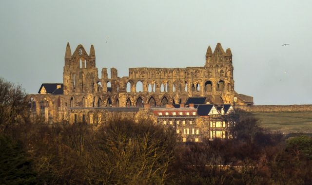 Bodies of man and woman recovered from beneath cliff at Whitby Abbey