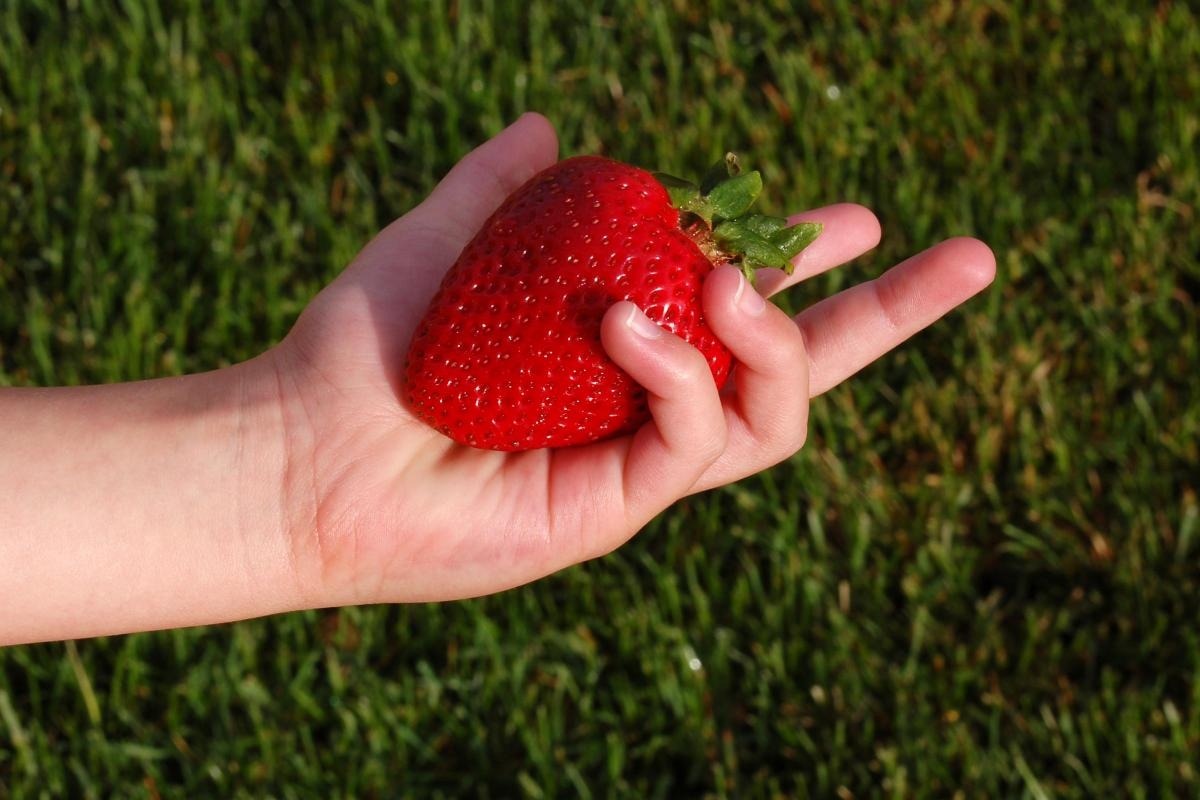 Where to buy the cheapest strawberries and cream for Wimbledon viewing