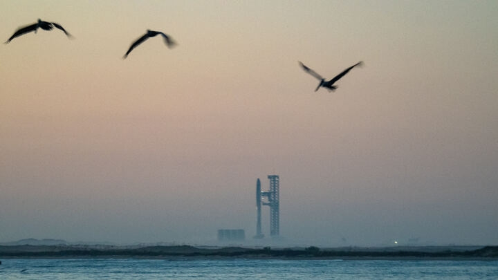 Conservationists raise alarm over Air Force plan to land SpaceX Starships on bird sanctuary atoll