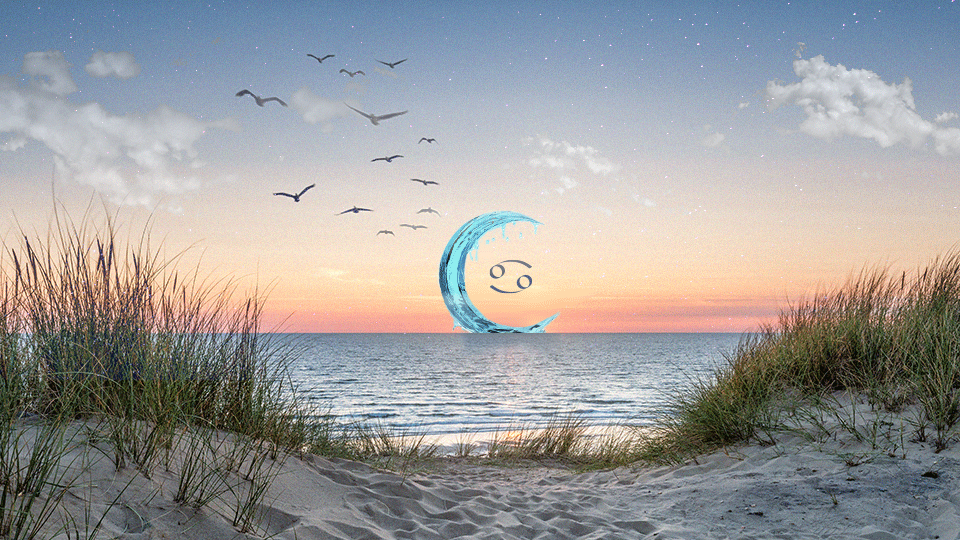 June's New Moon in Cancer Wants Each Zodiac Sign to Fall in Love With Life Again