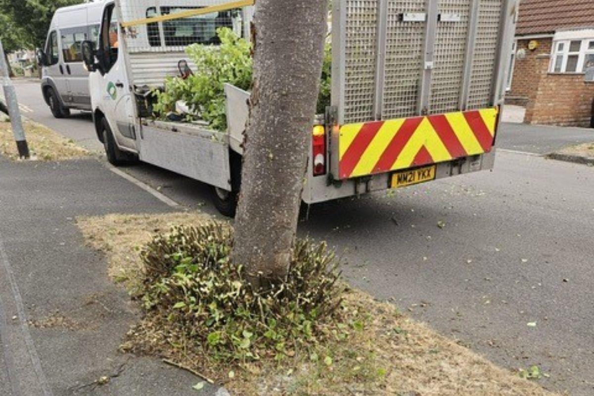 Summer clean-up as overgrowth cut back in Swindon