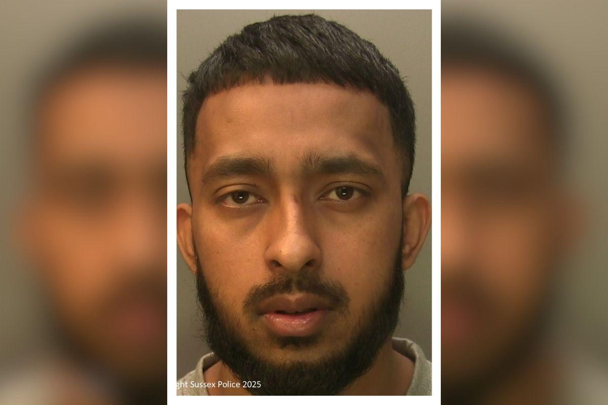 Driver crashed into woman and tried to bundle her into his car