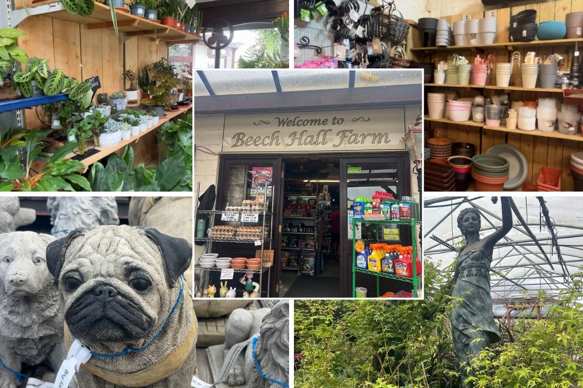 Why this family-run garden centre is a must-visit this summer