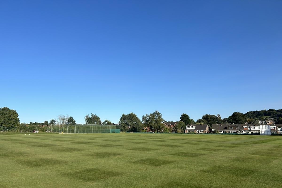 Cherry Tree happily-placed ahead of facing leaders Ribb