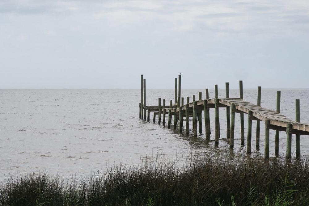 ‘This bill protects our precious waters': how a Florida environmental group scored a win against big oil