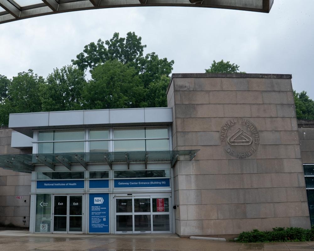 Trump officials cutting $1bn in NIH grants is ‘void and illegal', judge rules