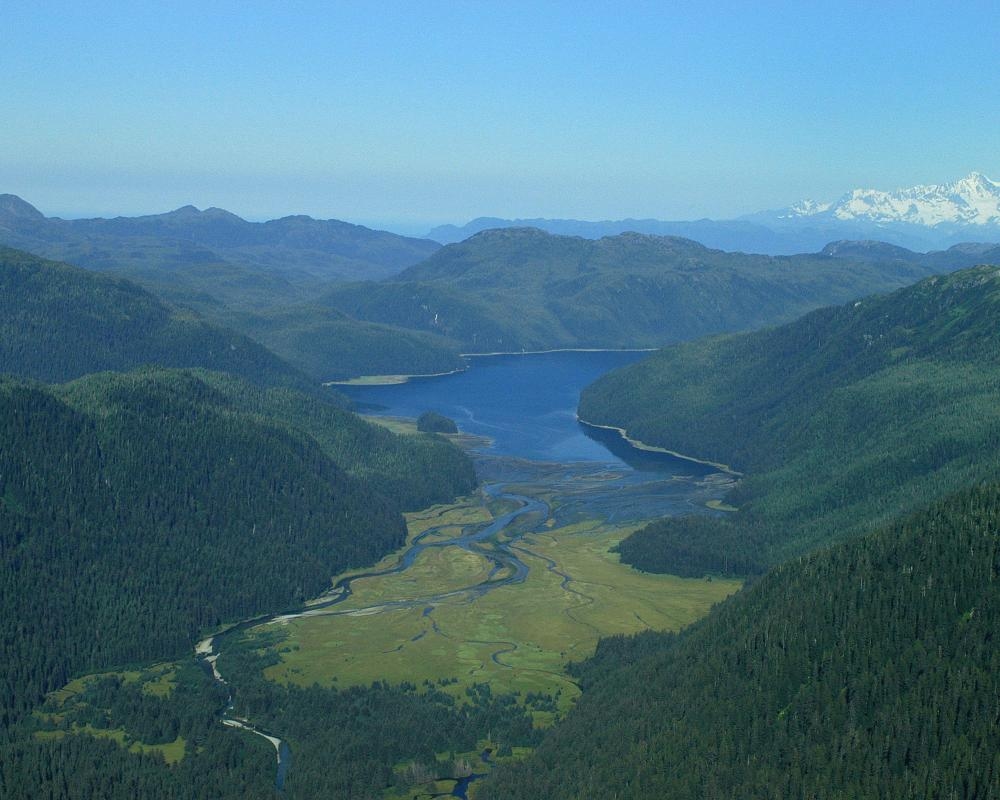 Trump rescinds protections on 59m acres of national forest to allow logging