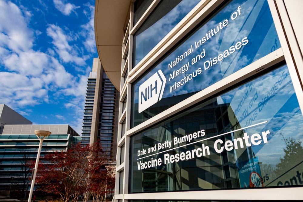 NIH under fire for funding dog tests despite vow to cut animal research