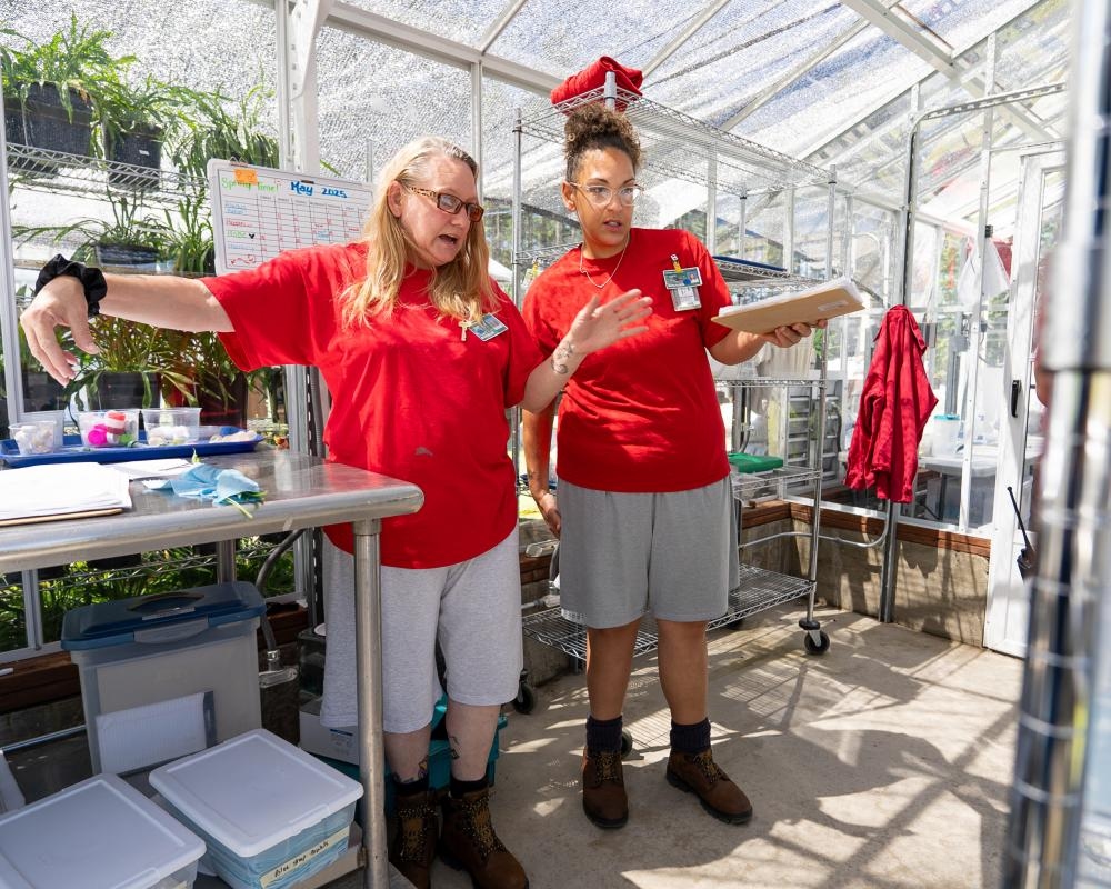 These women are raising endangered butterfly larvae from prison: ‘They reconnect with their own brilliance'