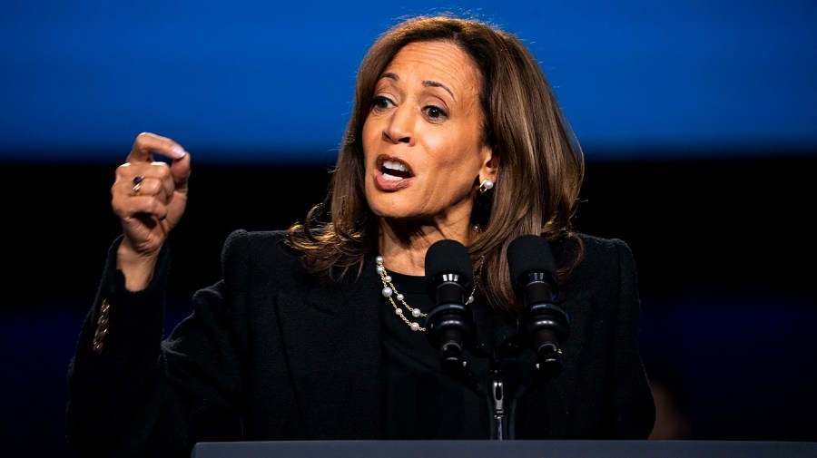 Kamala Harris sees support drop in potential 2028 horserace: Poll