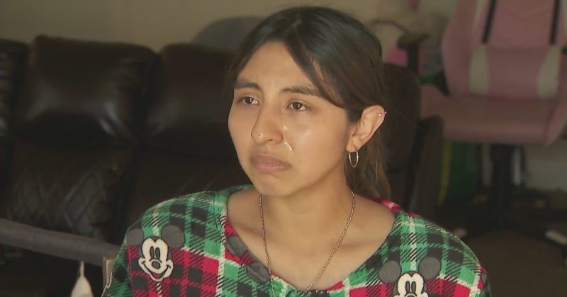 Pregnant US citizen detained by Border Patrol agents: ‘We didn't do anything wrong'