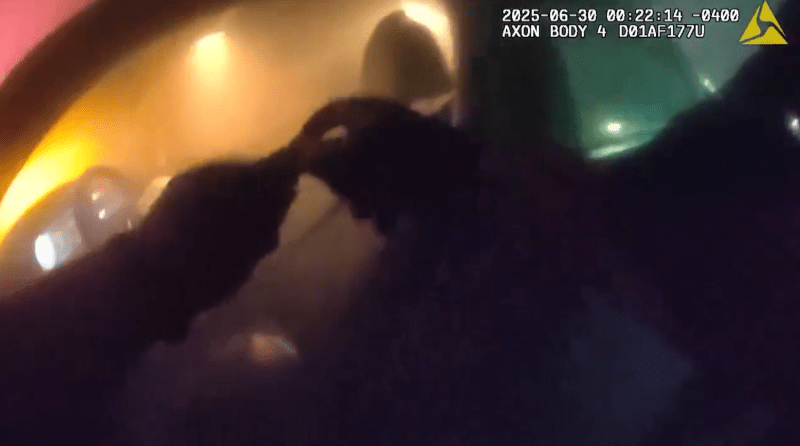 WATCH: Florida police rescue unconscious driver moments before car goes up in flames