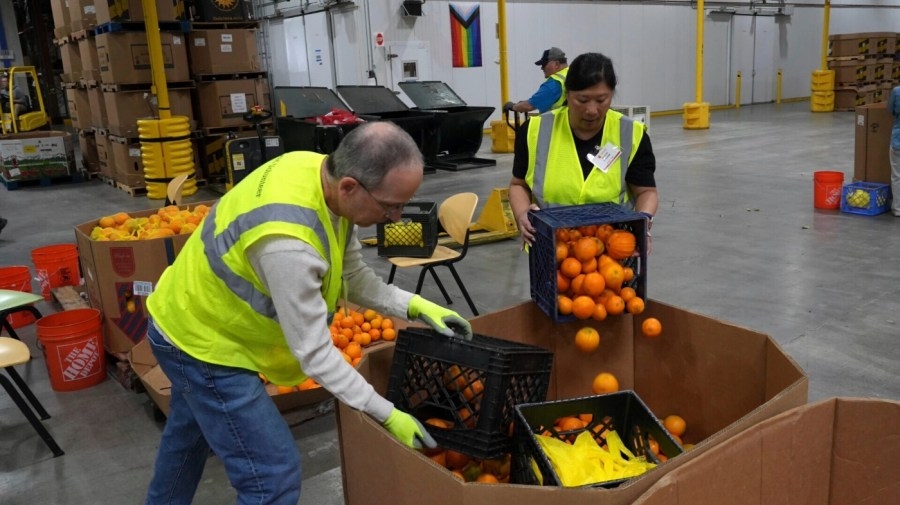 Opinion - Federal food aid cuts will cause America's hunger crisis to skyrocket