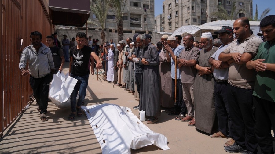 Dozens of Palestinians killed making their way to Gaza aid hub: Report