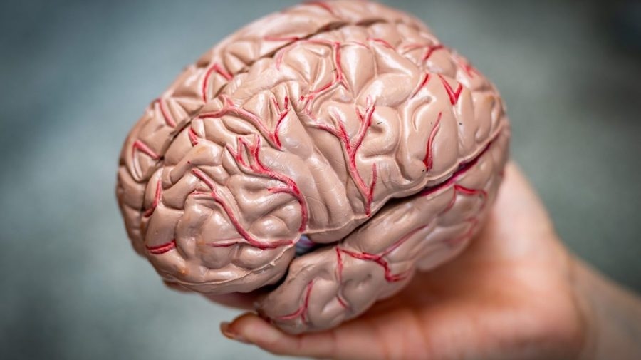 New brain implants poised to help people with disabilities