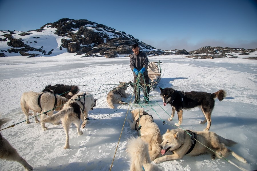 Opinion - Sled dogs and rare earths: Our journey through Greenland's growing pains