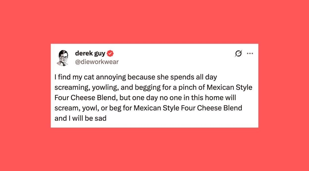 21 Of The Funniest Posts About Cats And Dogs This Week (July 19-25)