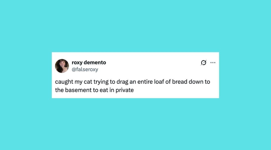 24 Of The Funniest Posts About Cats And Dogs This Week (June 28-July 4)