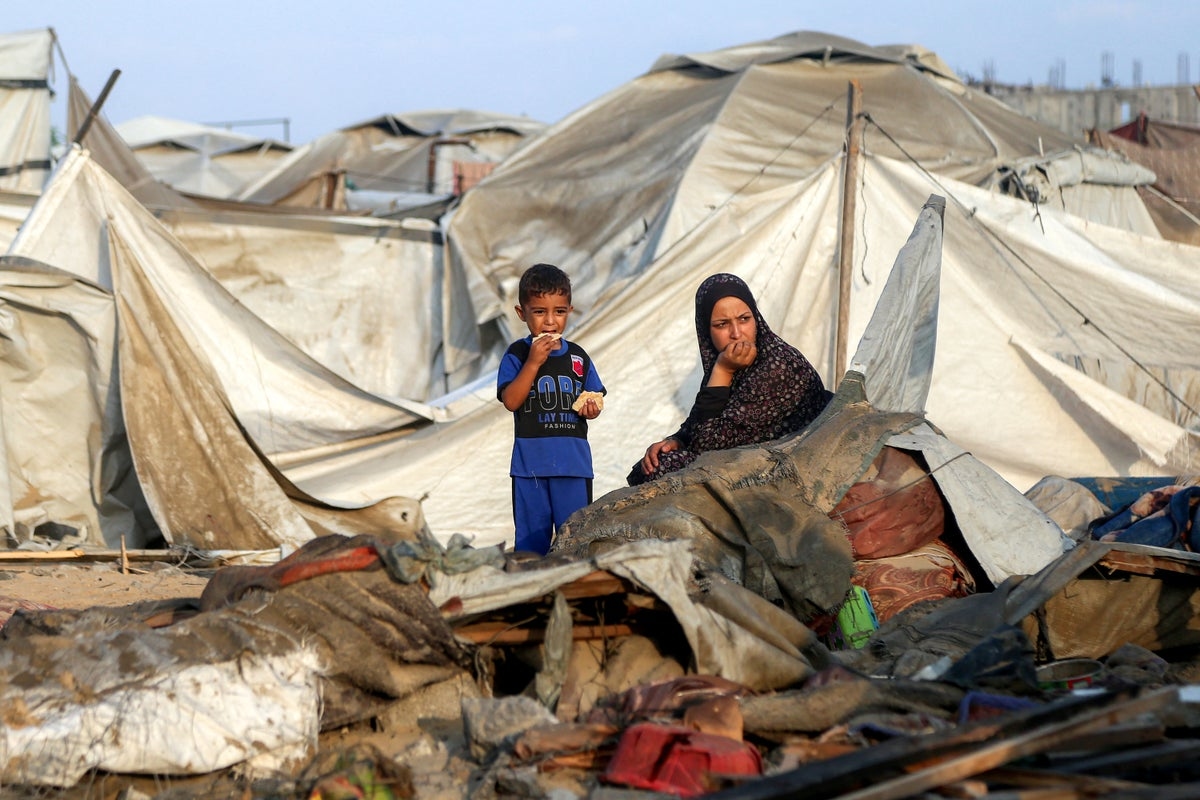 Voices: Why I've changed my mind about a state of Palestine