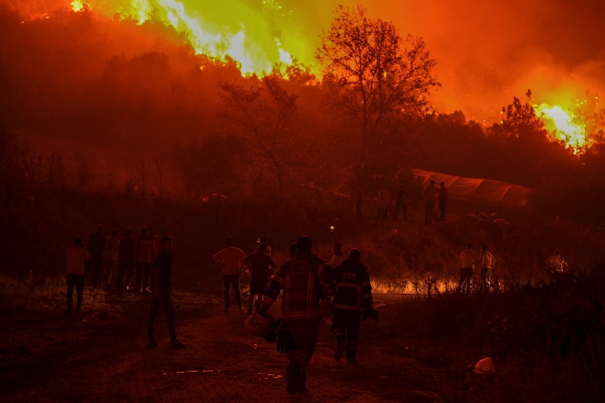 ‘Apocalyptic' Turkey wildfires spread as 14 killed in blazes sparked by record 50C heatwave