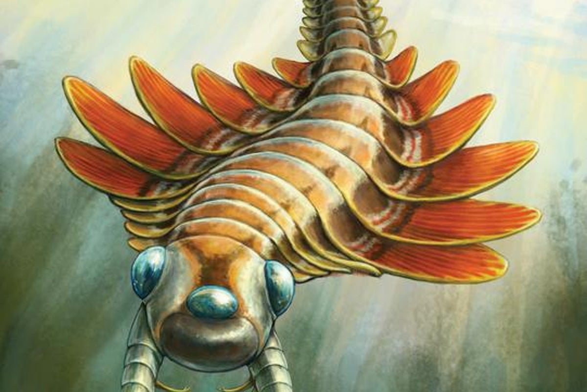 Three-eyed ancient predator ‘unlike any living animal' discovered