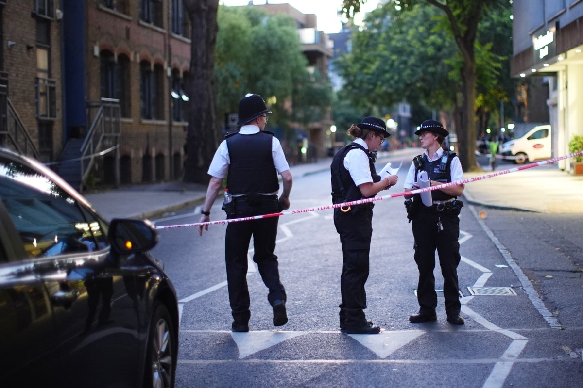 Two men who died after central London stabbing named as father and son