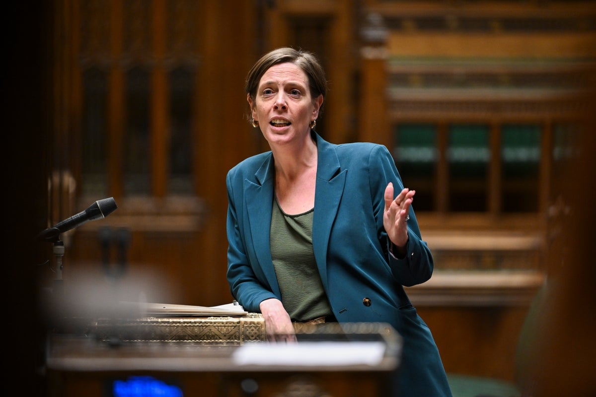 Labour minister Jess Phillips says rebel MPs right to be punished for ‘slagging off own government'