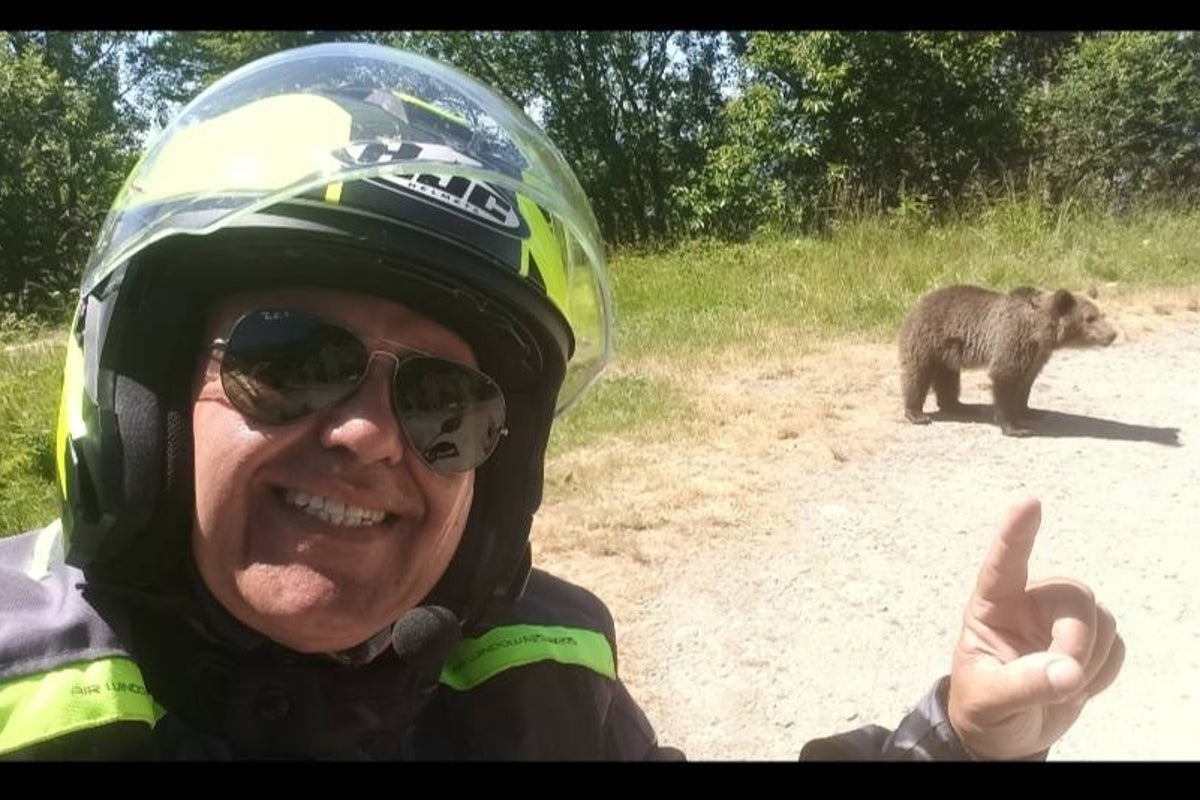 Motorcyclist mauled to death by bear while on holiday posted selfie with one before the fatal attack
