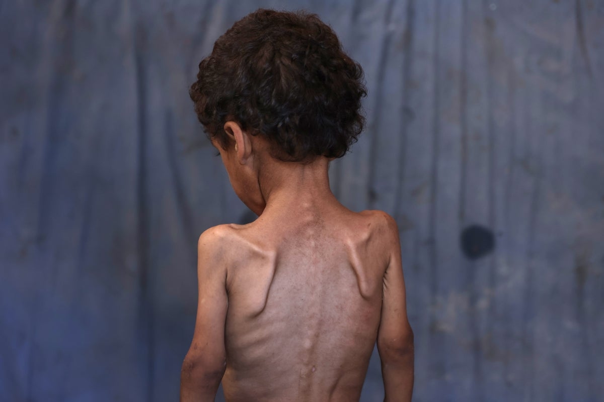 More than 200 MPs call for Britain to recognise Palestine as a state amid starvation in Gaza