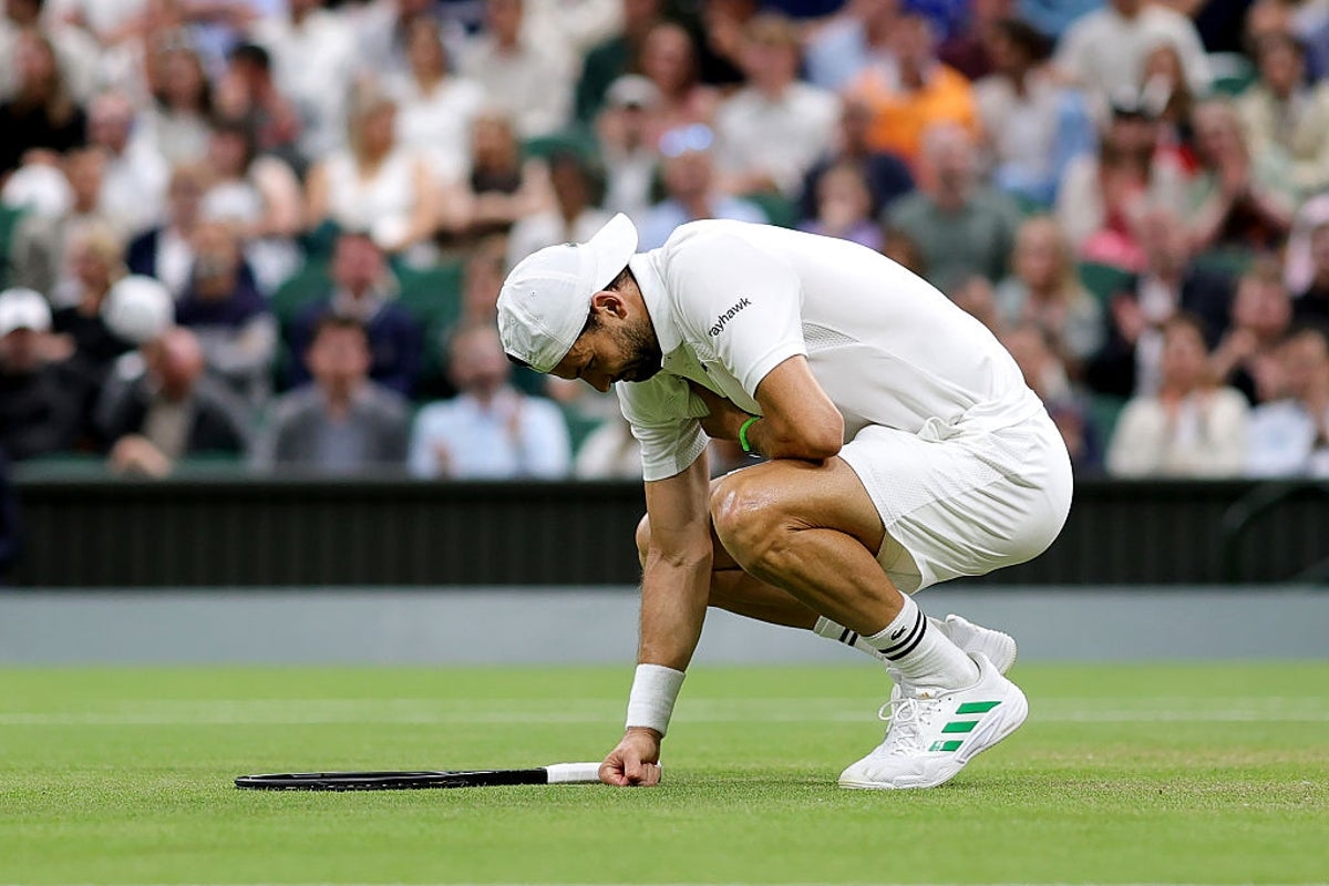 Grigor Dimitrov coach plays down roof theory around injury in Jannik Sinner match