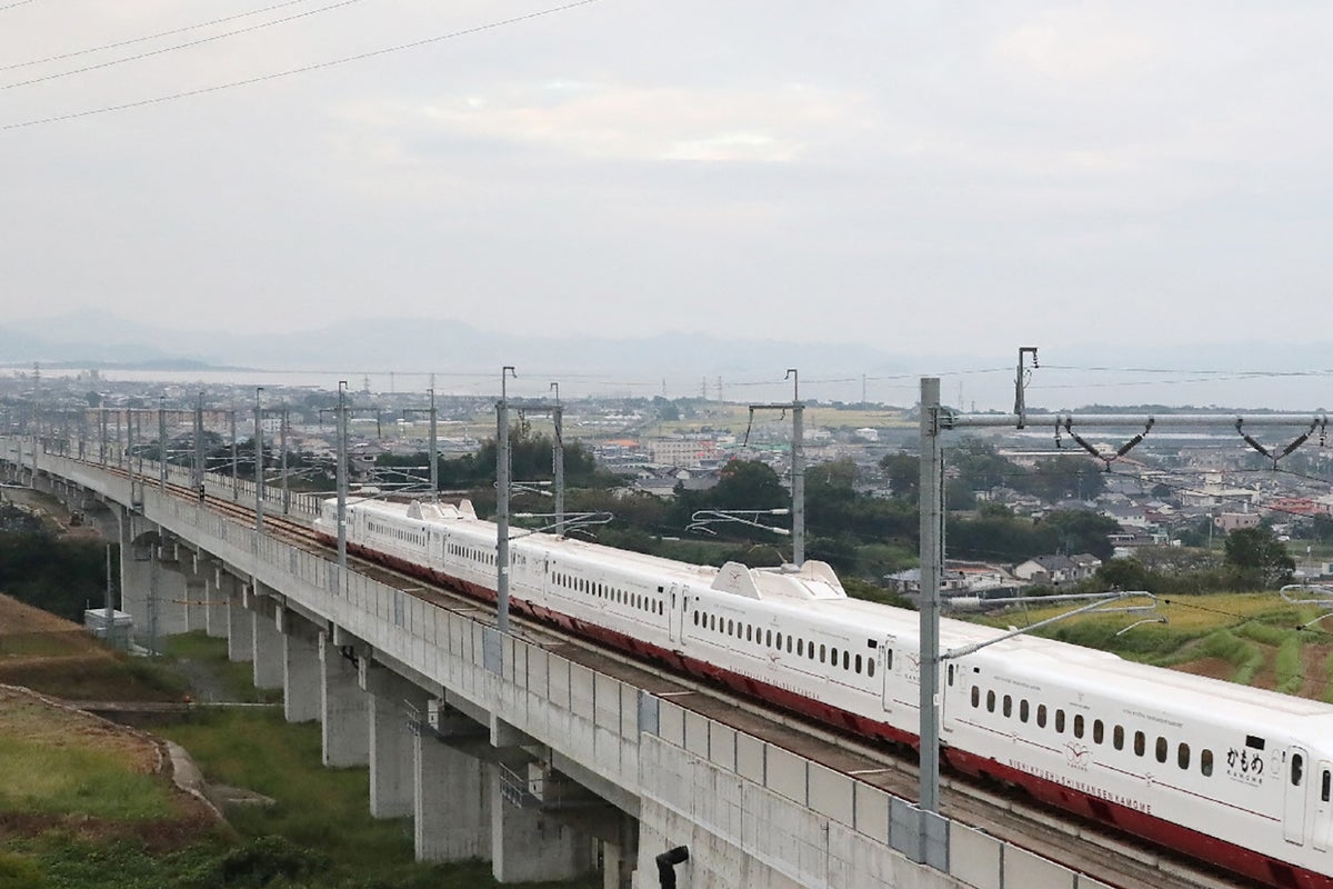 Snake halts Japan's bullet trains after getting tangled in power lines