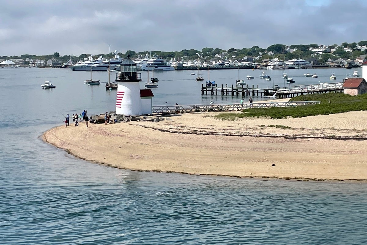 Nantucket man walked into neighbor's yard and cut down 50-year-old trees to improve his ocean view, suit says