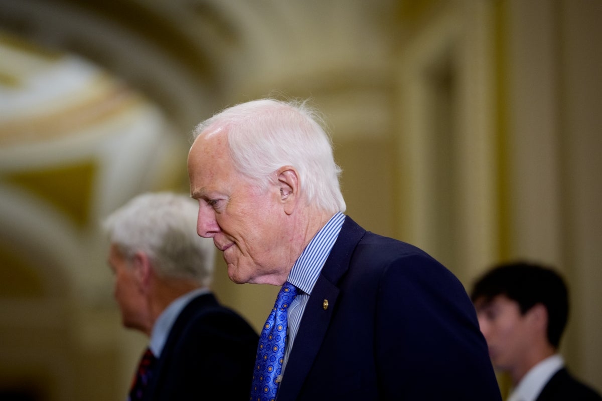 Senate even more afraid of Trump-Epstein fallout than Mike Johnson's House is: ‘We've got enough to do'