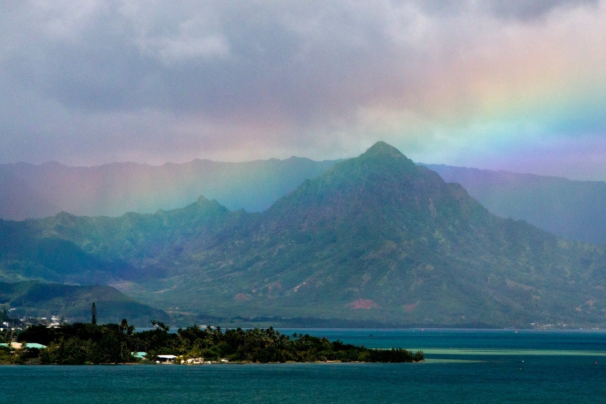 Urgent warning for Hawaiian tourists as brain parasite cases continue: ‘Don't eat raw food'