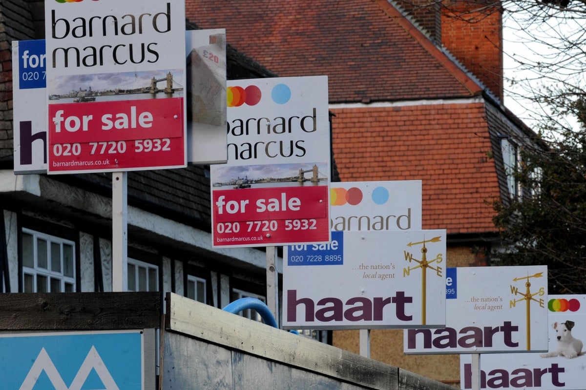 Boost for first-time buyers as ‘mortgage lending reins loosened'