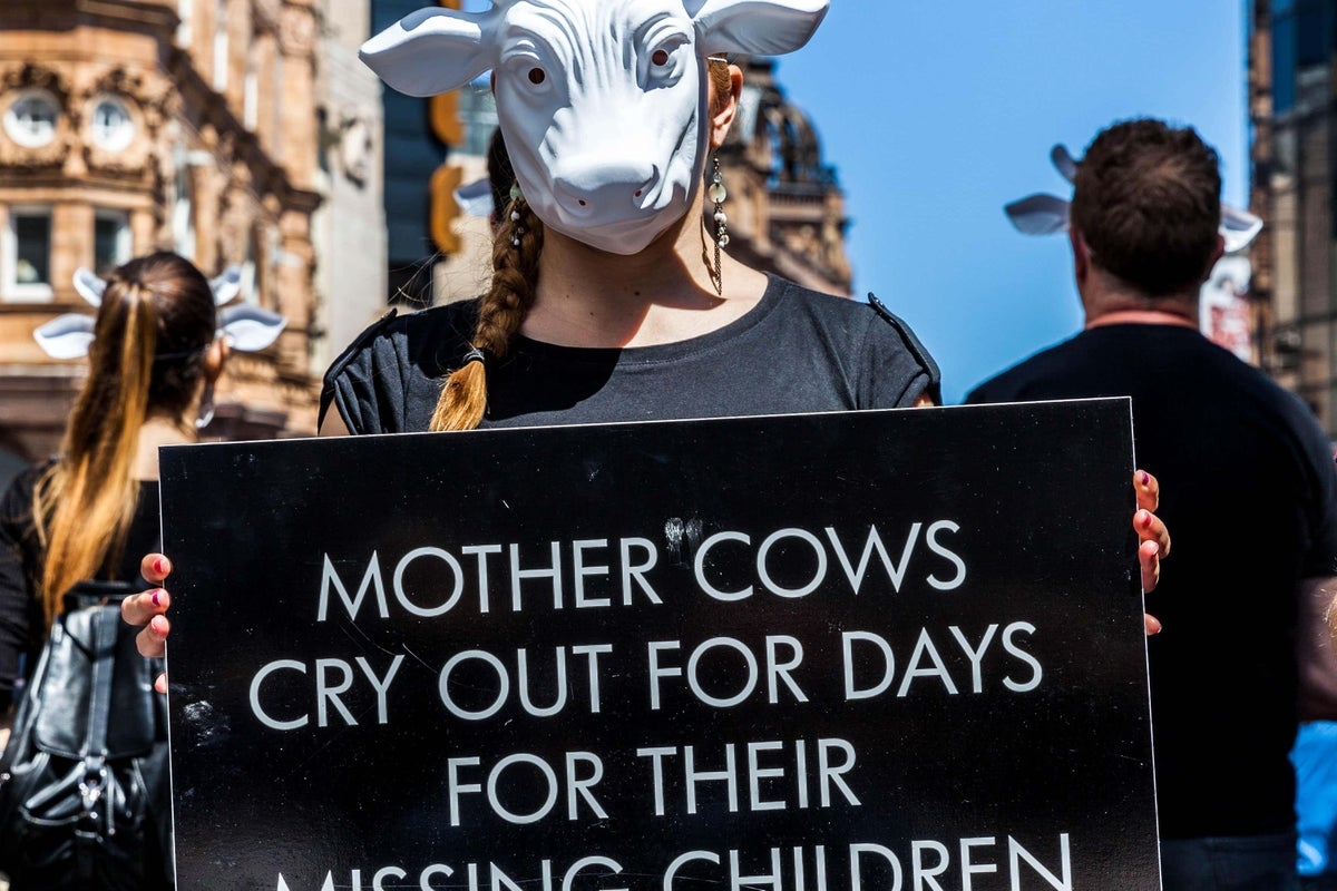 Vegan charity Viva! ad featuring baby being taken from mother banned