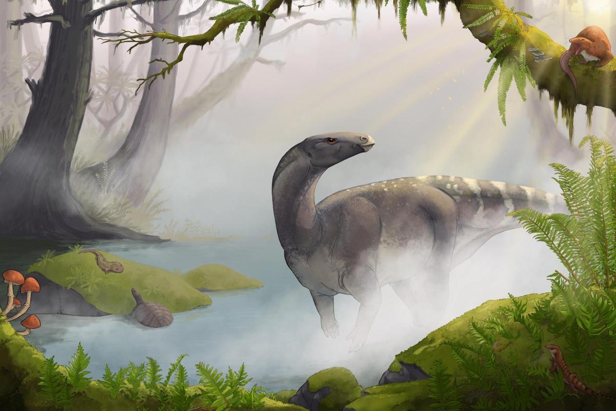Jurassic dinosaur fossil extracted from cliff in Scottish island