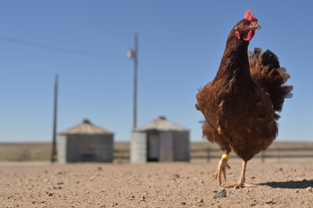 Small Farmers Are Struggling With Trumpian Chaos—and Bracing for More