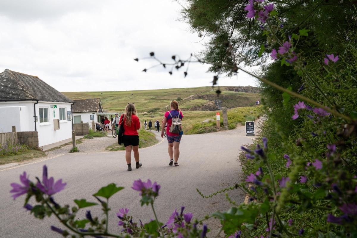 National Trust to celebrate Cornwall's rarest habitats