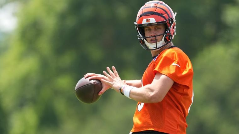 Bengals QB Joe Burrow has the wildest fascination with fossils