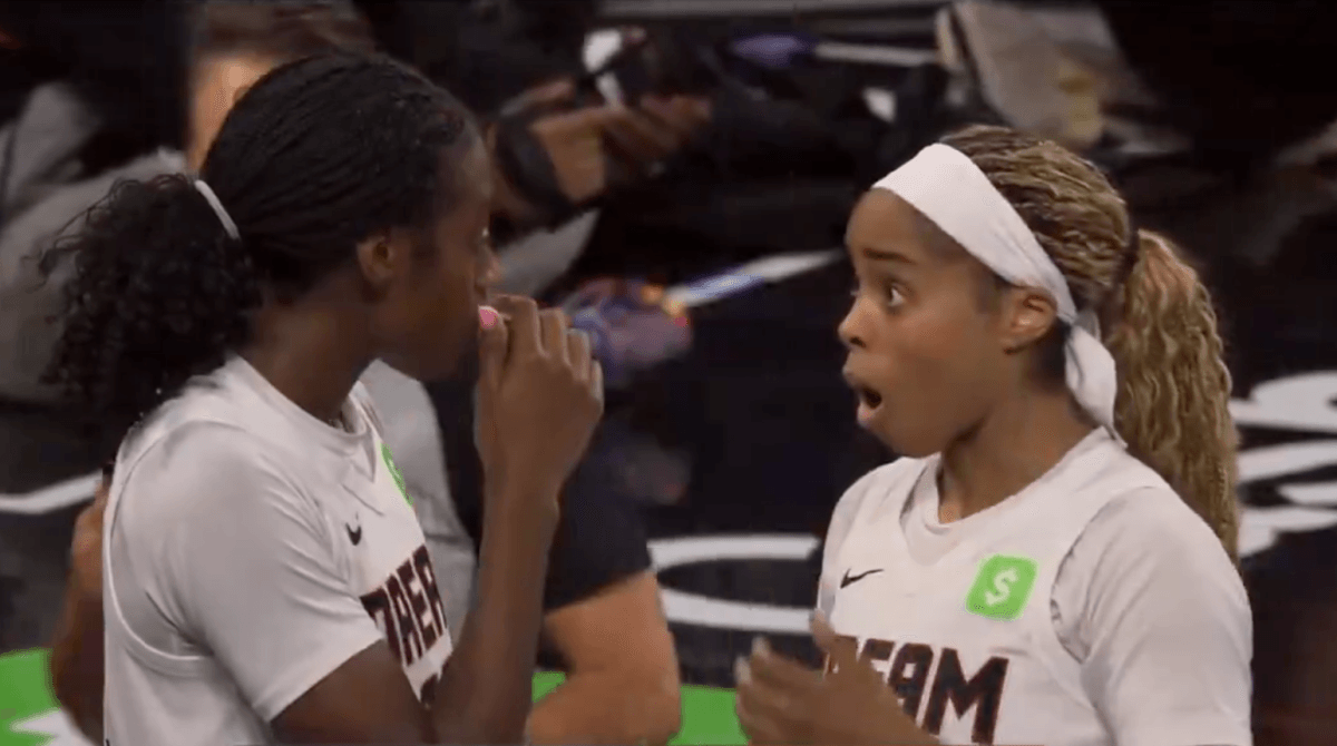 Fans In Disbelief After Shocking Object Delays WNBA Game