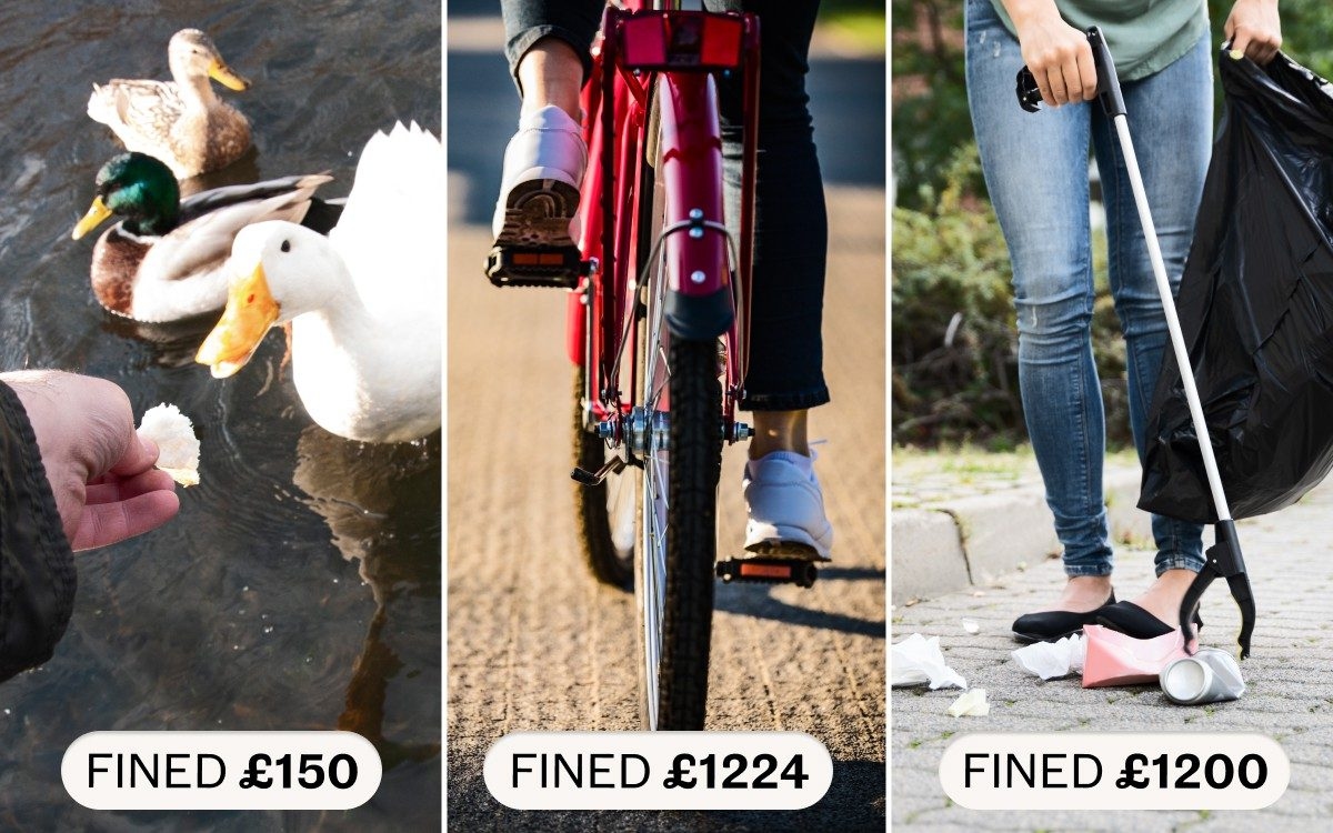 Fined for feeding the ducks and picking up litter. How ‘Stasi-like' councils are ripping off Britain