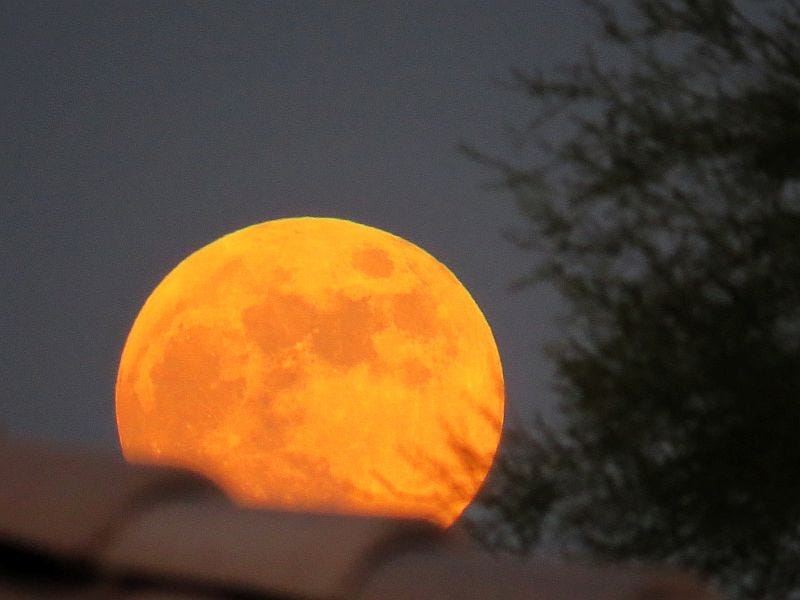 July will bring a sighting of the 'Swift Planet', the Buck Moon and a meteor shower. Watch for these dates