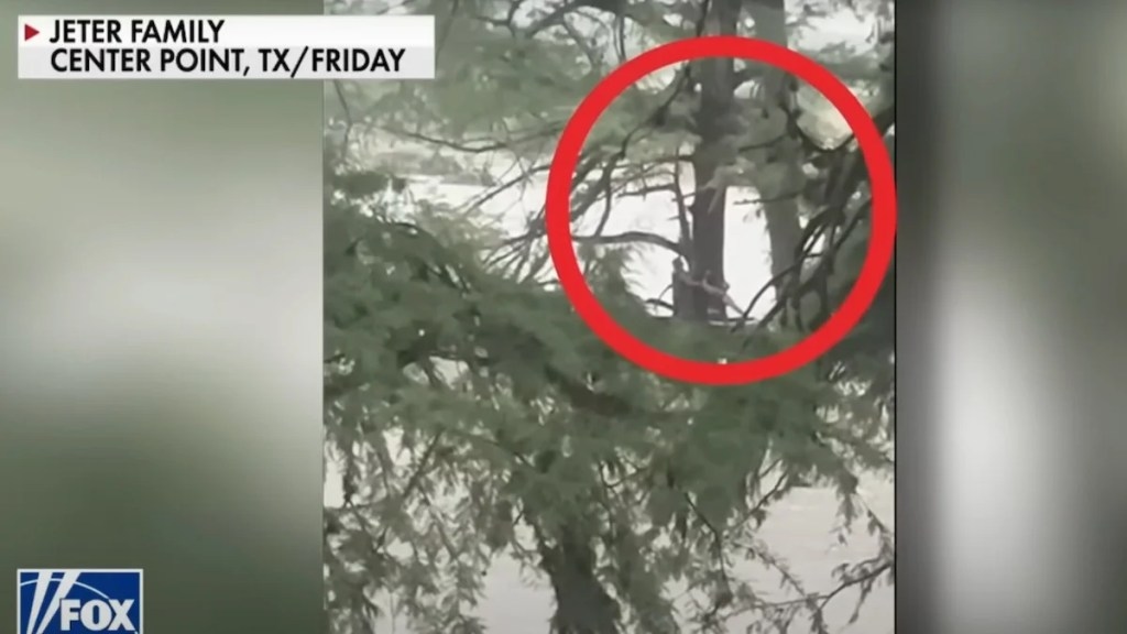 Texas Woman's Flood Rescue Caught on Camera After Waters Swept Her 20 Miles