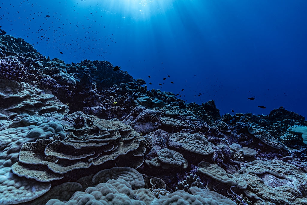 French Polynesia Creates World's Largest Marine Protected Area